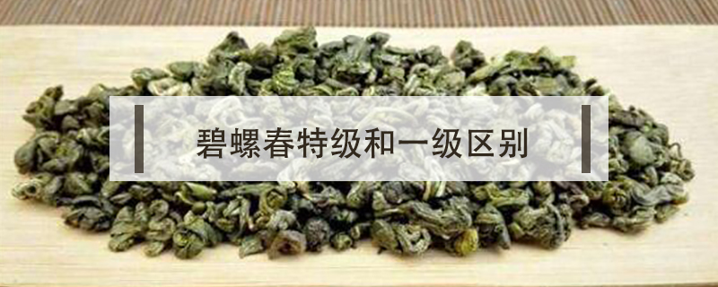 碧螺春特級(jí)和一級(jí)區(qū)別