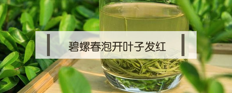 碧螺春泡開(kāi)葉子發(fā)紅
