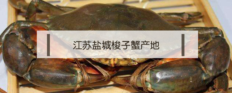 江蘇鹽城梭子蟹產(chǎn)地