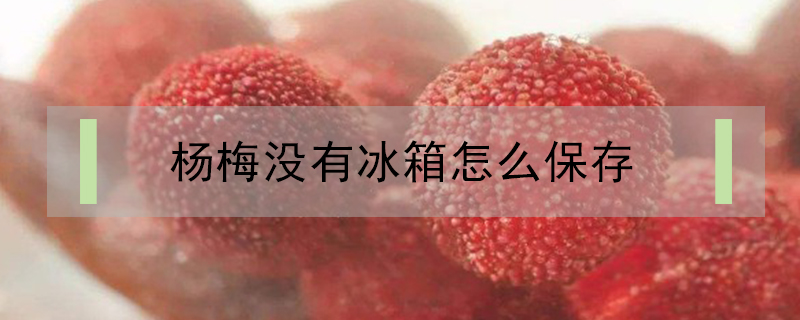 楊梅沒(méi)有冰箱怎么保存
