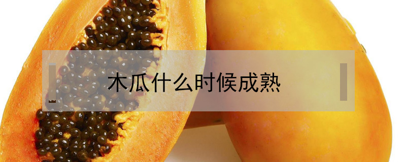木瓜什么時(shí)候成熟