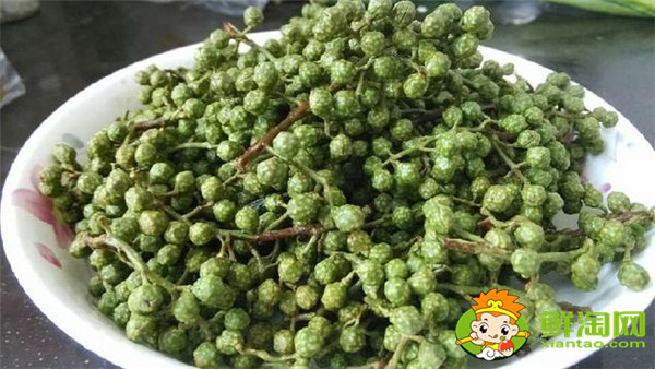 青花椒與藤椒區(qū)別，藤椒和青花椒哪個(gè)麻