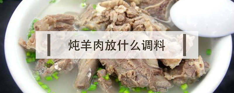 燉羊肉放什么調(diào)料