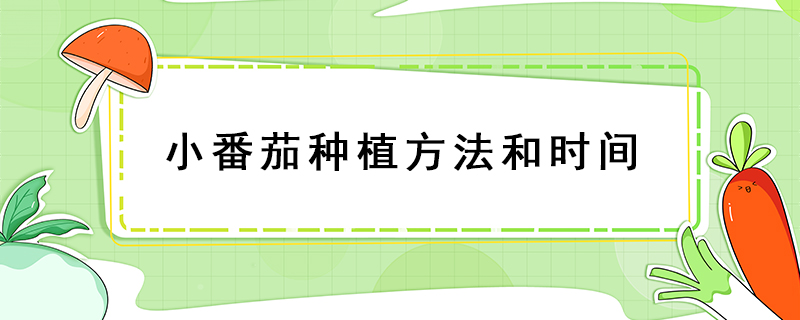 小番茄種植方法和時(shí)間